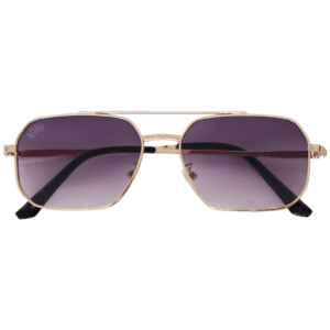 Eunoia Sunglasses frame